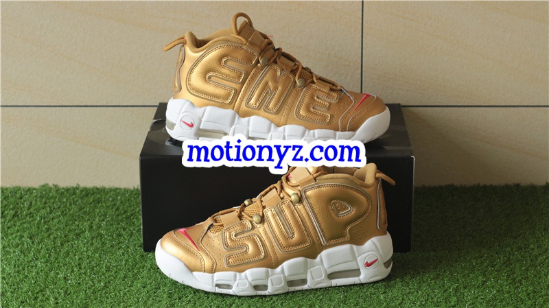 Authentic Supreme x Nike Air More Uptempo Golden